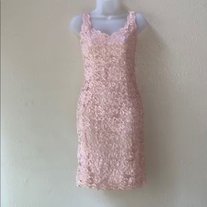 Expo pink lace floral dress